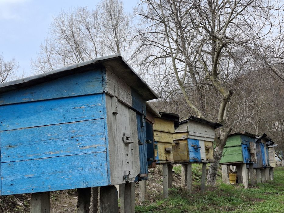 Продається мед ,натуральний без домішок