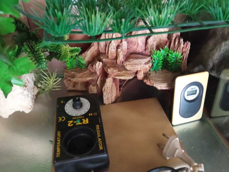 Terrarium dla gekona
