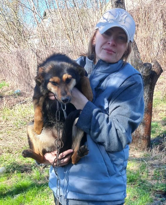 Собака дівчинка в добрі руки