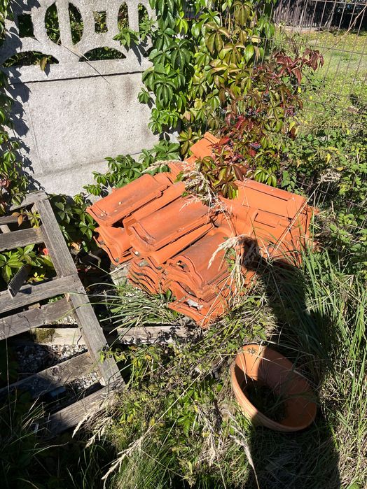 Dachówka esówka Roben nieangobowana
