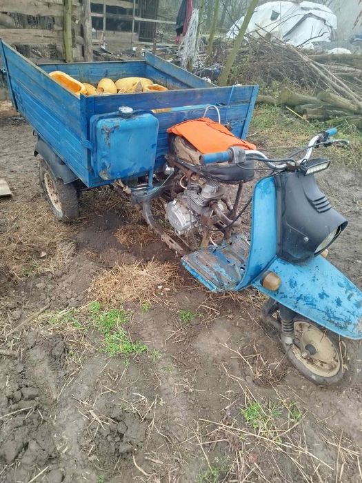 Продам муровей з документами