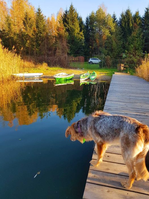 willa nad jeziorem piękny teren własna plaża pomost łódka sauna