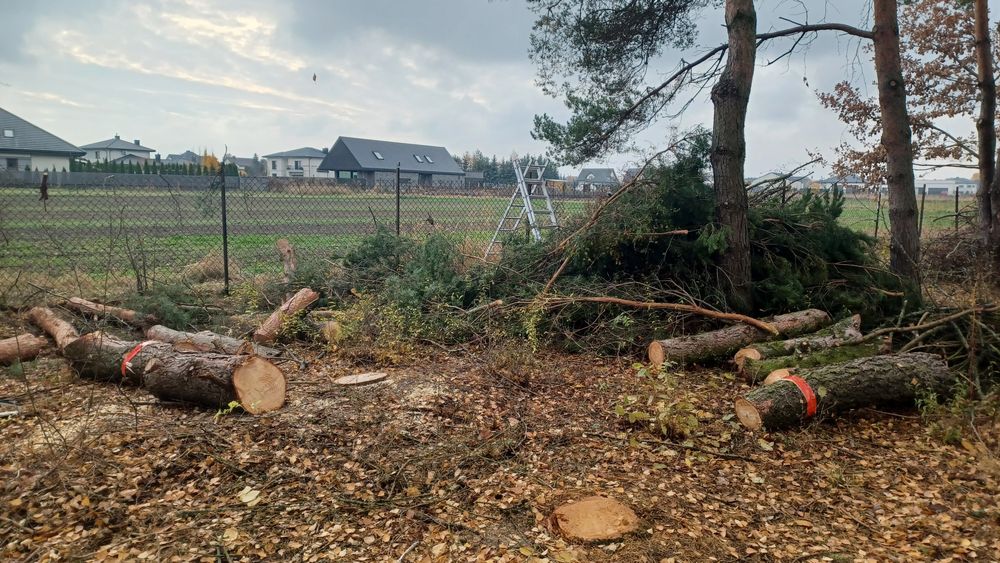 Podnosnik 20m, wycinka drzew, czyszczenie rynien, dachu. Mazowieckie.