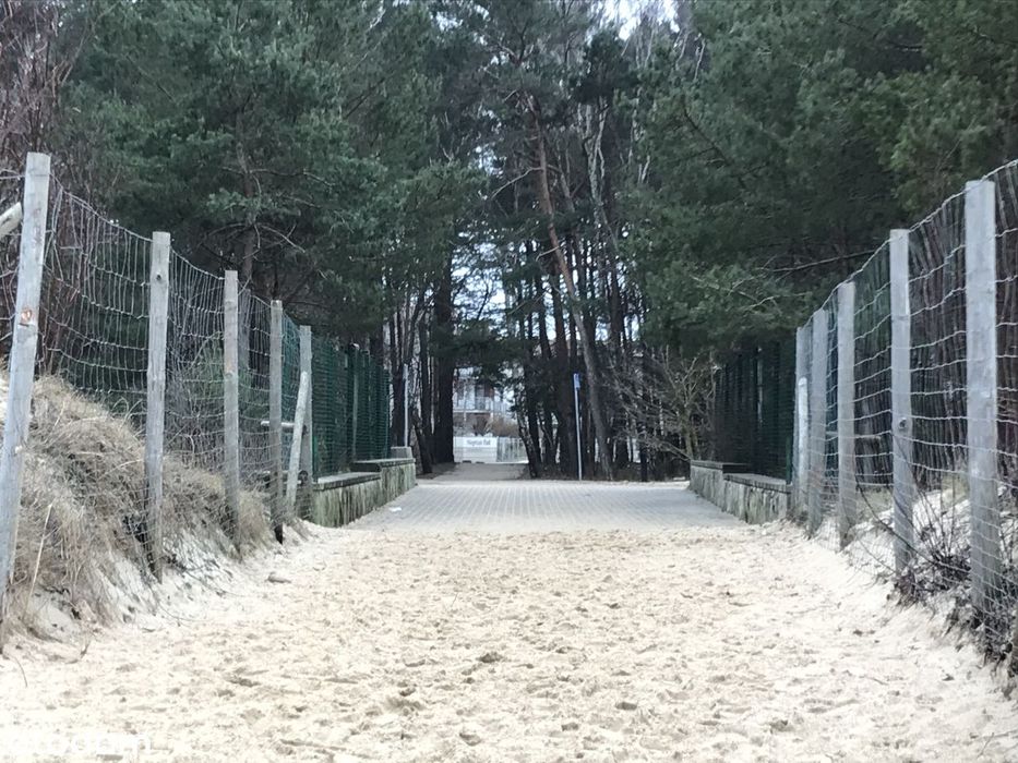 Neptun Park, taras 118 m², widok na las, 100 m od plaży