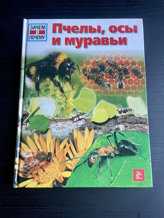 Книга пчелы осы и муравьи