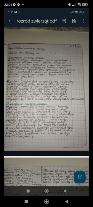 Notatki technik weterynarii