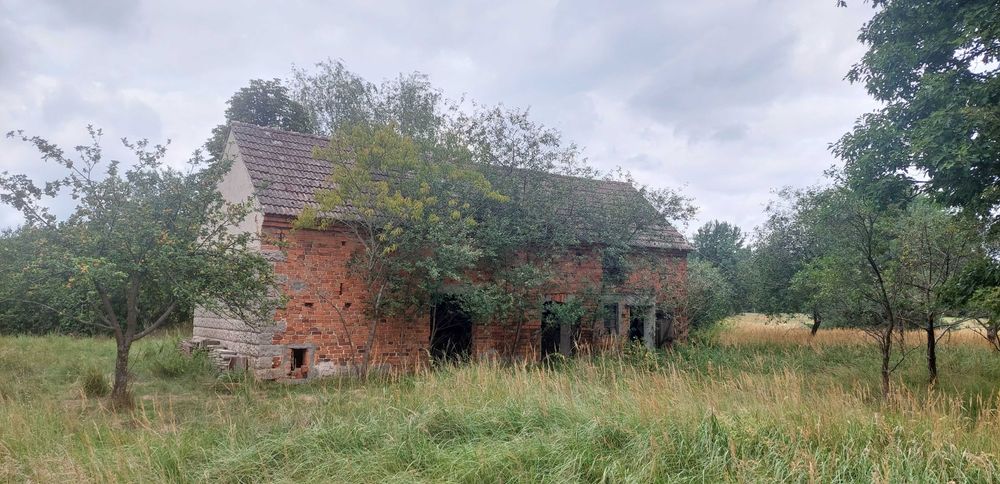 Atrakcyjną działkę rolno budowlaną sprzedam . - Widok 5