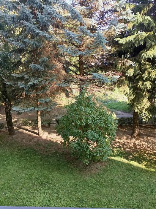 Mieszkanie – Rzeszów - Więcej