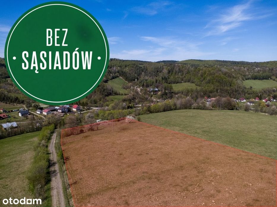 Bez sąsiadów | Solina | Budujesz od razu