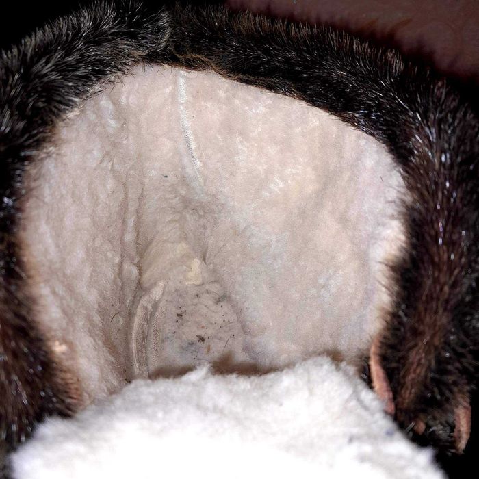 Зимові чоловічи ботинкі Уггі