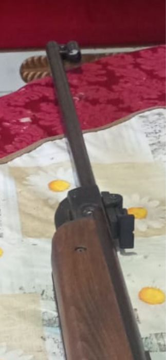 Para caça em otimo estado