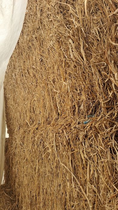 Fardos de palha com mistura de feno com tremecilha