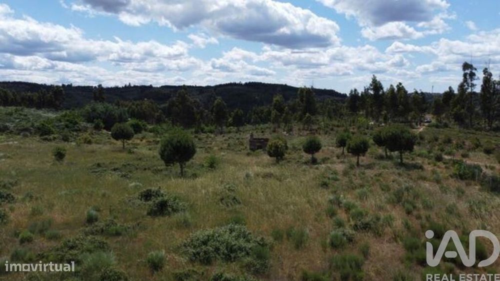 Terreno para construção em Seixo da Beira de 48000,00 m2