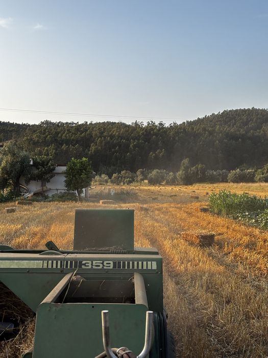 Fardos de palha nascedissa