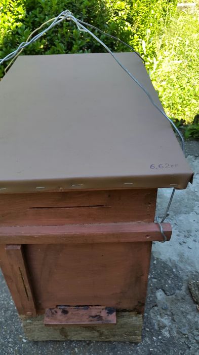 Пастка для бджолиного роя ловушка для роя пчел