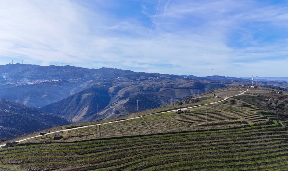 Vende-se terreno rústico em Valença do Douro - Tabuaço