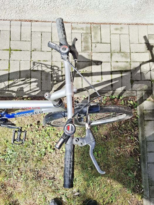 Rower Arkus Delta Trend 301