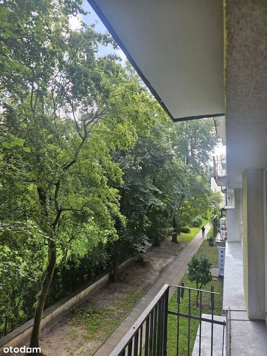 Kawalerka Teofilów, Rojna 1 piętro