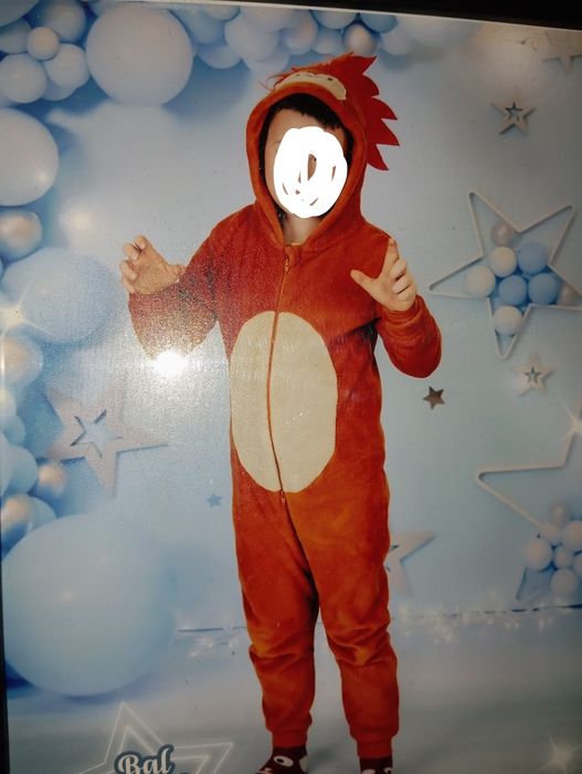 Kostium lwa tygrysa 134