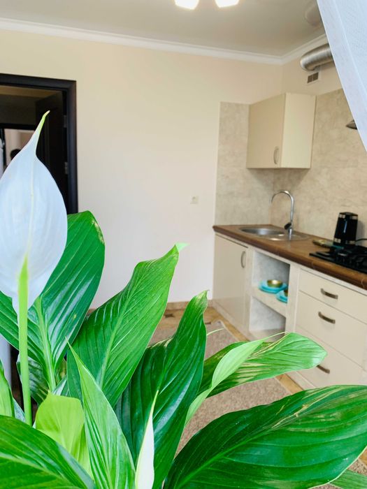 Центр. Крушельницької 55. 2 кімнати. Власник. Квартира подобово