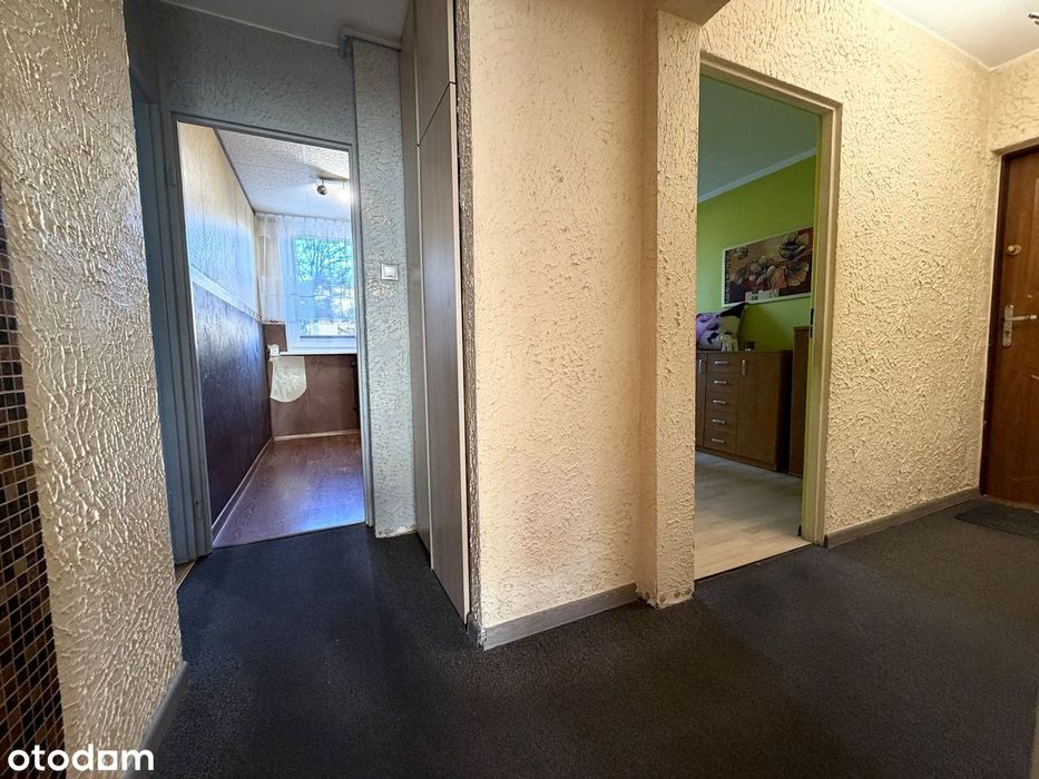 3 pokojowe mieszkanie na parterze