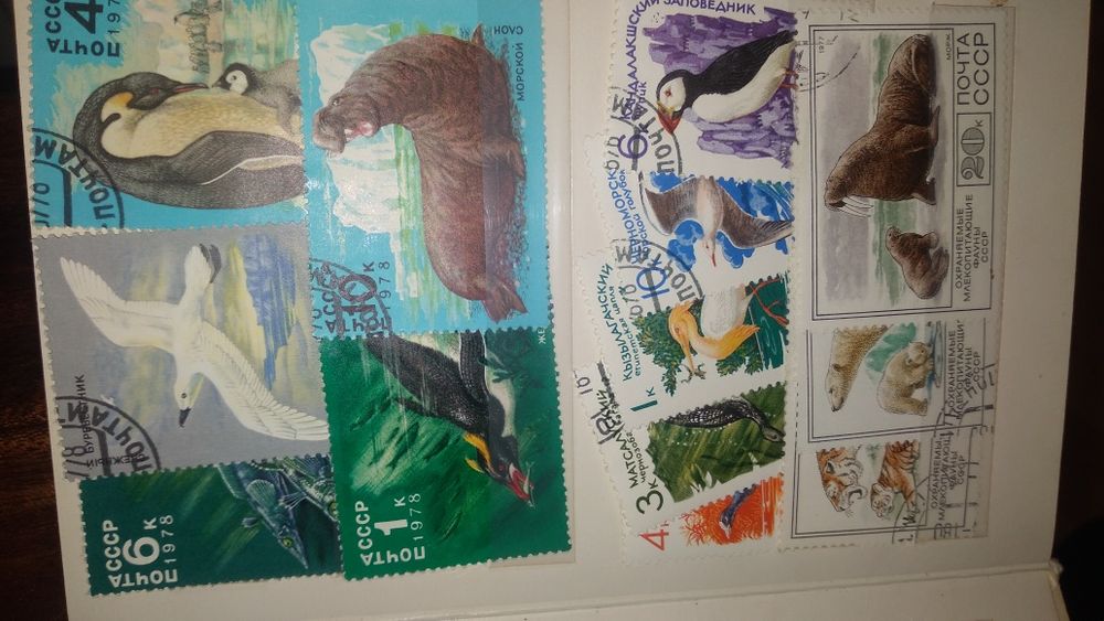 Колекційні марки 76-82 років. СССР, Cuba correos (Спорт, тварини) 41 ш