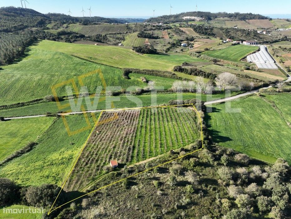 Agricultural land of 12,040 m² with well and support house for agricultural activity...