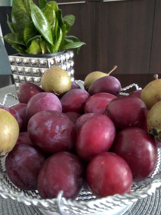 Słodkie soczyste śliwki 3 zł / kilogram