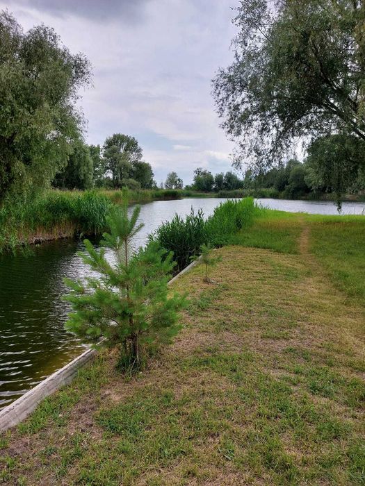 Будинок с. Коробівка, ділянка 12 сот.