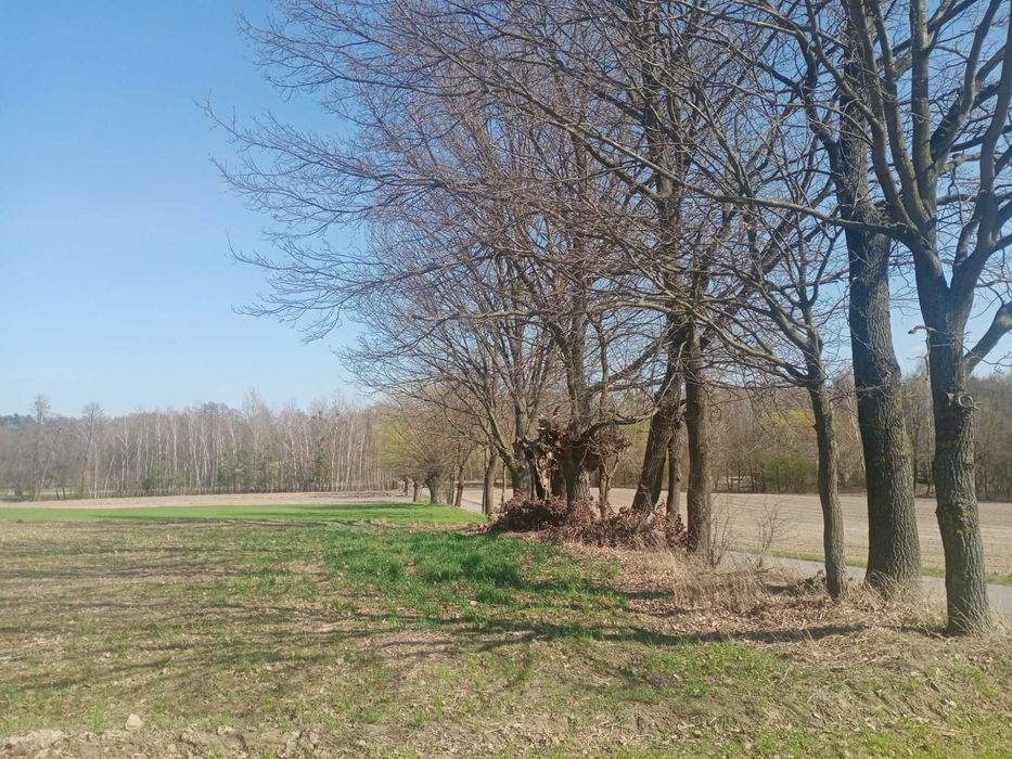 Działki budowlane