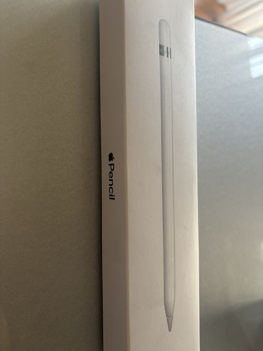Apple Pencil 1ª geração