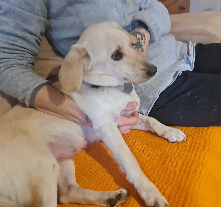 Balbinka to istne cudo