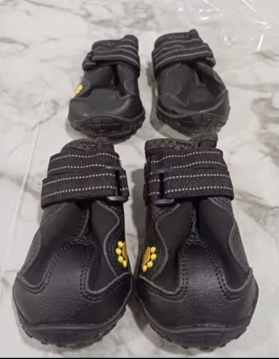 Взуття для собак