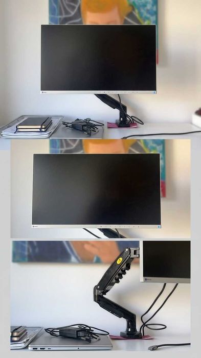 Monitor EIZO FlexScan EV2450 24" + Braço Articulado Newstar