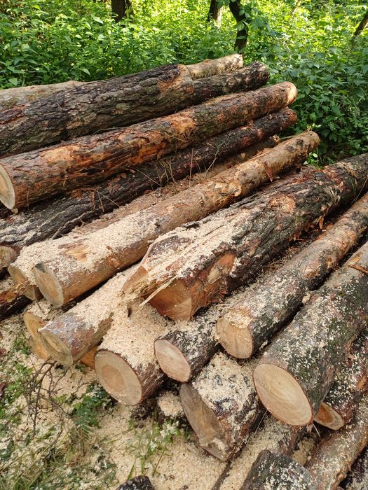 Drewno opałowe sosna i też gatunki liściaste