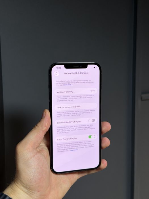 iPhone 12 Pro Max 256Gb Blue