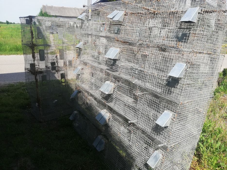 Klatki 6 i 20 komorowe na przepiorki i króliki