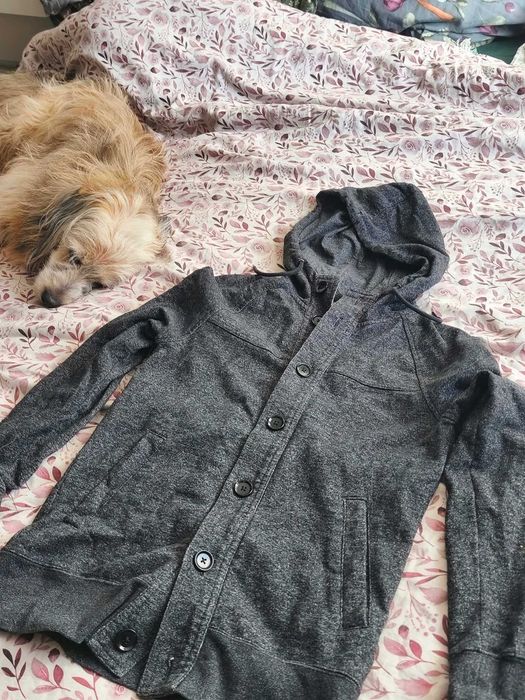 Kardigan męski H&M roz. S używany stan dobry.