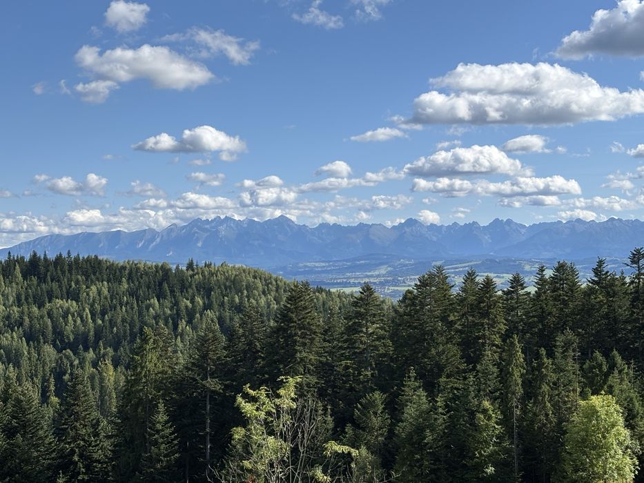 Apartament  Pod Turbaczem Wolne terminy