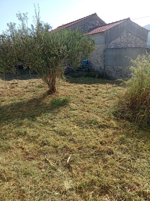 Limpeza de terrenos,jardins entre outros