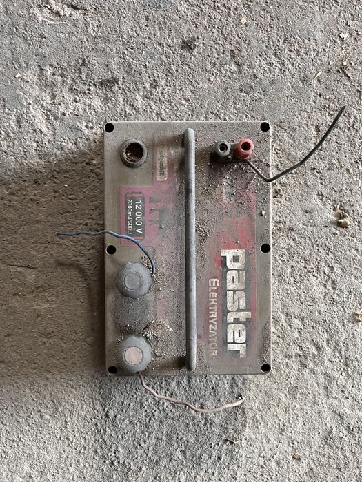 Paster elektryzator pastuch