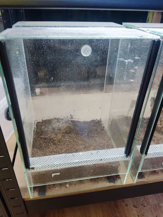 Terrarium szklane używane