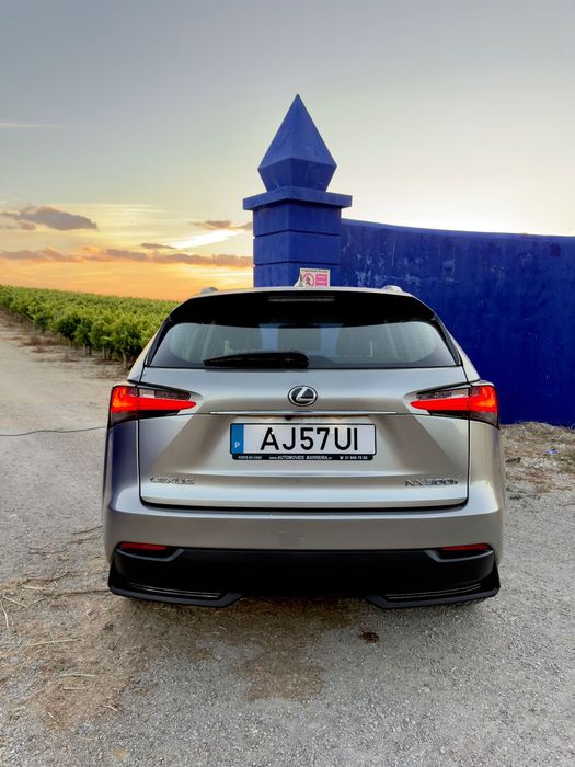 Lexus NX 300h473382325511802882