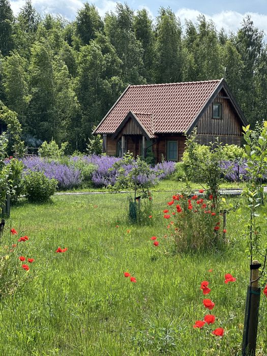 Domek na Mazurach z balią, sauną, nad jeziorem