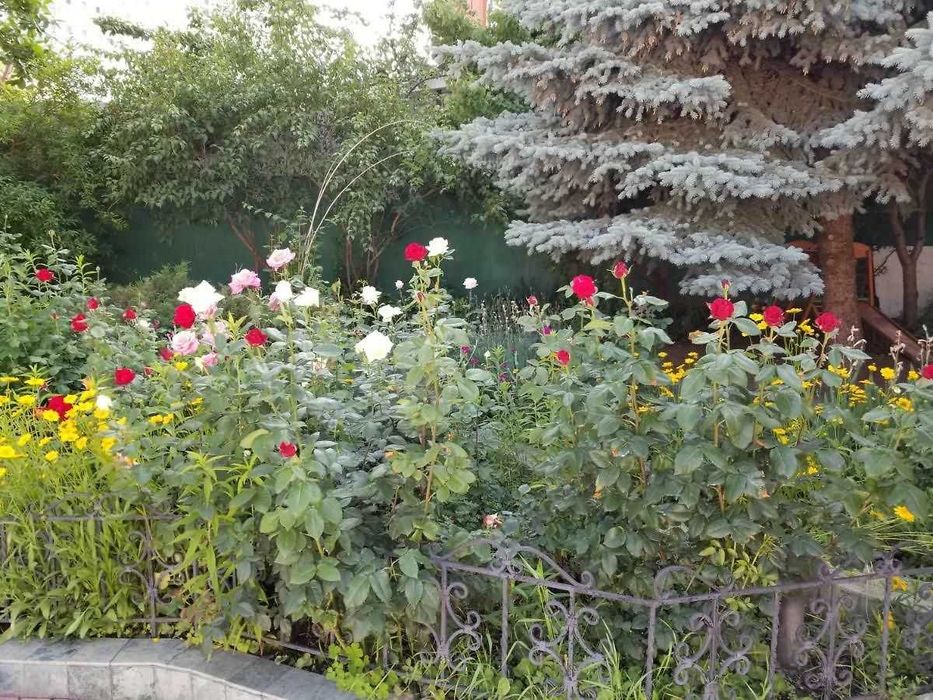 Продається шикарна ділянка в Аркадії під будівництво житлового будинку.Комісія 0%