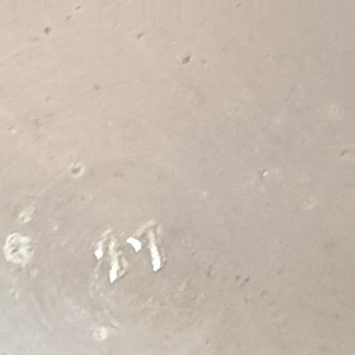 wasculum-waskulum-vasculum-plater-Antyk