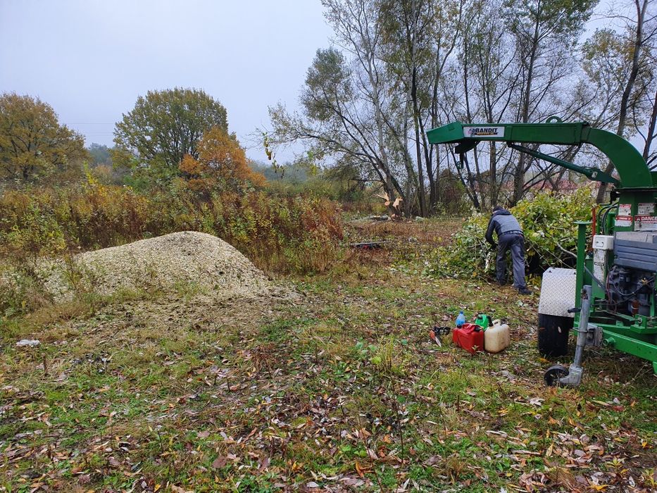 Wycinka pielęgnacja drzew czyszczenie działek karczowanie rębak