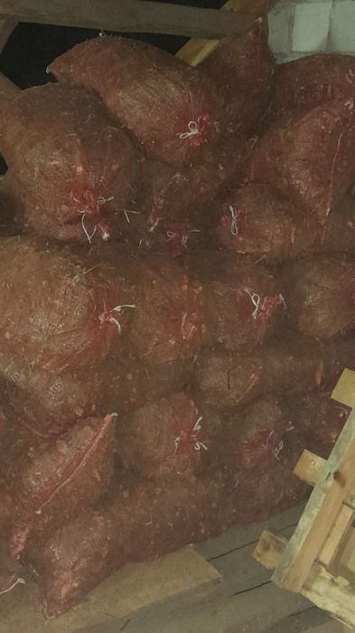 Zrębka sosnowa sucha w workach 9zl za worek  50l