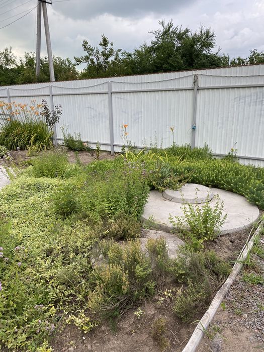 Продам будинок із дикого зрубу з ділянкою біля Києва! село Бзів