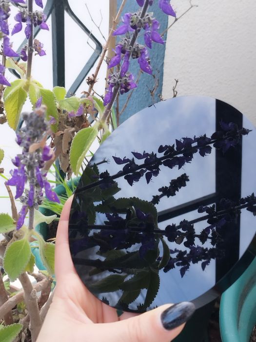 Espelho Negro de Obsidiana, espelho da Bruxa